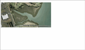 Aerial view showing mangrove_poly