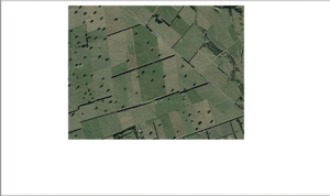 Aerial view showing tree_pnt