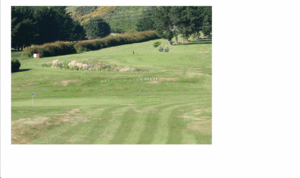 Example showing golf_course_poly