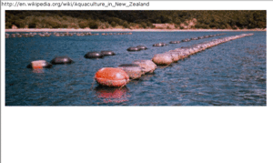 Example showing marine_farm_cl